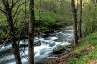 The Little  Pigeon River on River rd near Townsend ,Tn