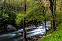 The Little  Pigeon River on River rd near Townsend ,Tn