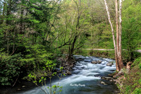 The Little Pigeon River on River rd near Town, tn